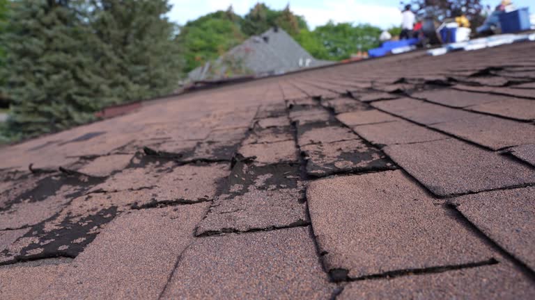 Best Gutter Installation and Repair  in Chewelah, WA